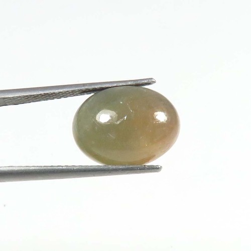 Greenish Sapphire Smooth Gems 13.5x10mm Natural Sapphire Oval Cabs 9Cts SP-68 - Picture 6 of 9
