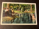 Negro Baptism Jacksonville Postcard 1905