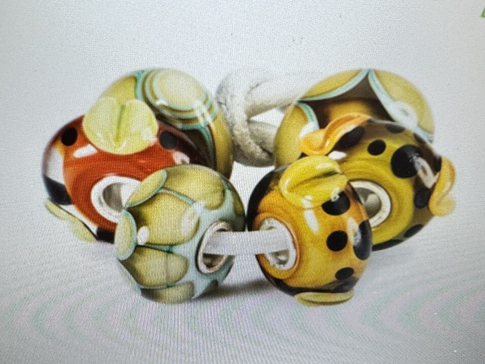 Trollbeads ~ Native Elements Kit ~ Retired - image 1