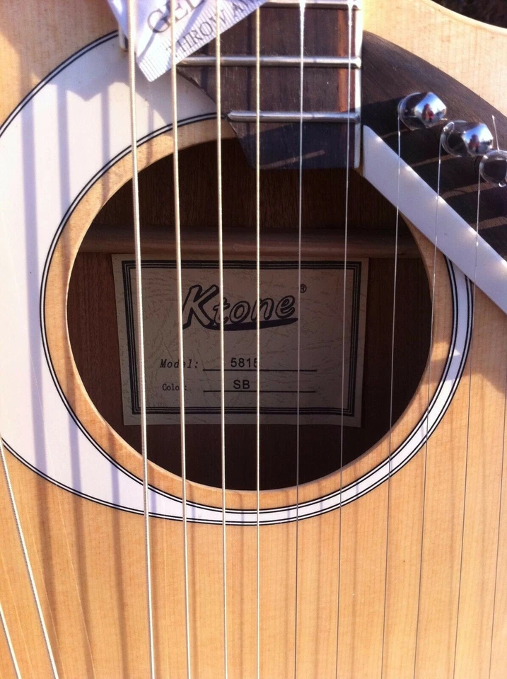 Бесплатная мягкая сумка, гитара арфа, акустическая электрическая гитара с двойным грифом - Изображение 3 из 4