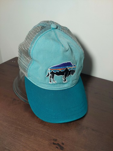 Patagonia Blue Teal Fitz Roy Bison 