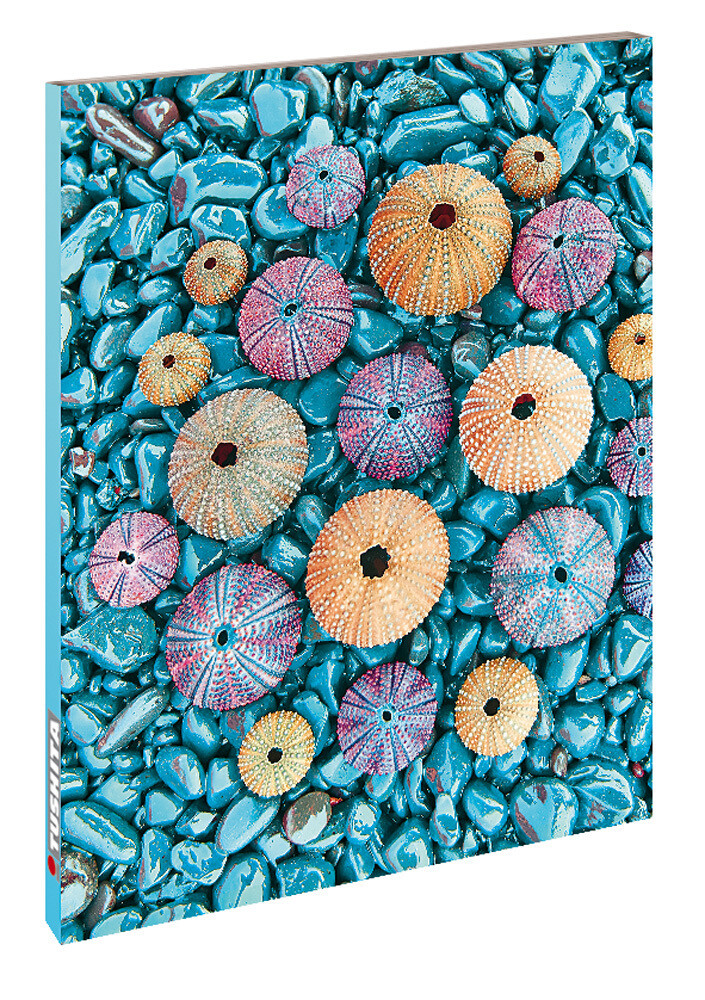 Thumbnail - Tushita-verlag | Sea Treasures | Buch | Deutsch (2021) | Blankbook |