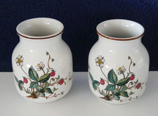 Villeroy & Boch Botanica 'Fragaria vesca' 2 kleine Vasen Tischvasen H ca. 9,5 cm