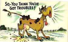 Vintage Postcard- So, You Think You've Got Troubles!
