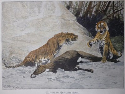 kol. Holzstich - Ehelicher Zwist ( Tiger ) R. Bong,