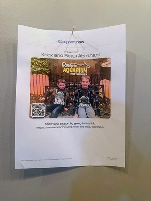 Please Help Knox and Beau