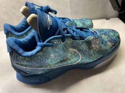 Size 11 - Nike LeBron 21 Abalone for sale online | eBay