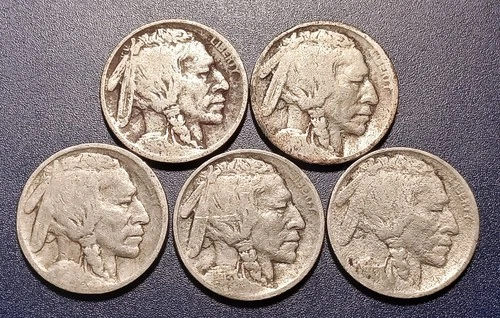 Lot of (5) 1913-P Ty. 1 Buffalo Nickels