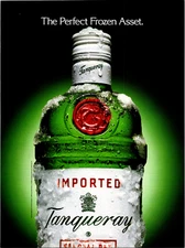 1993 Tanqueray Gin The Perfect Frozen Asset Vintage Print Ad Ephemera Full Page