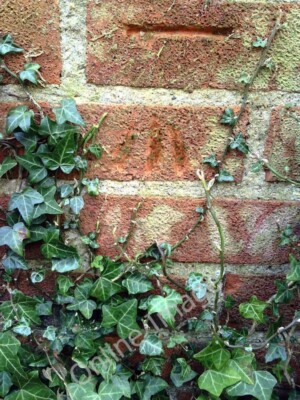 Photo 6x4 Benchmark on boundary wall of 'Jesmond', Bayswater Road Barton c2011