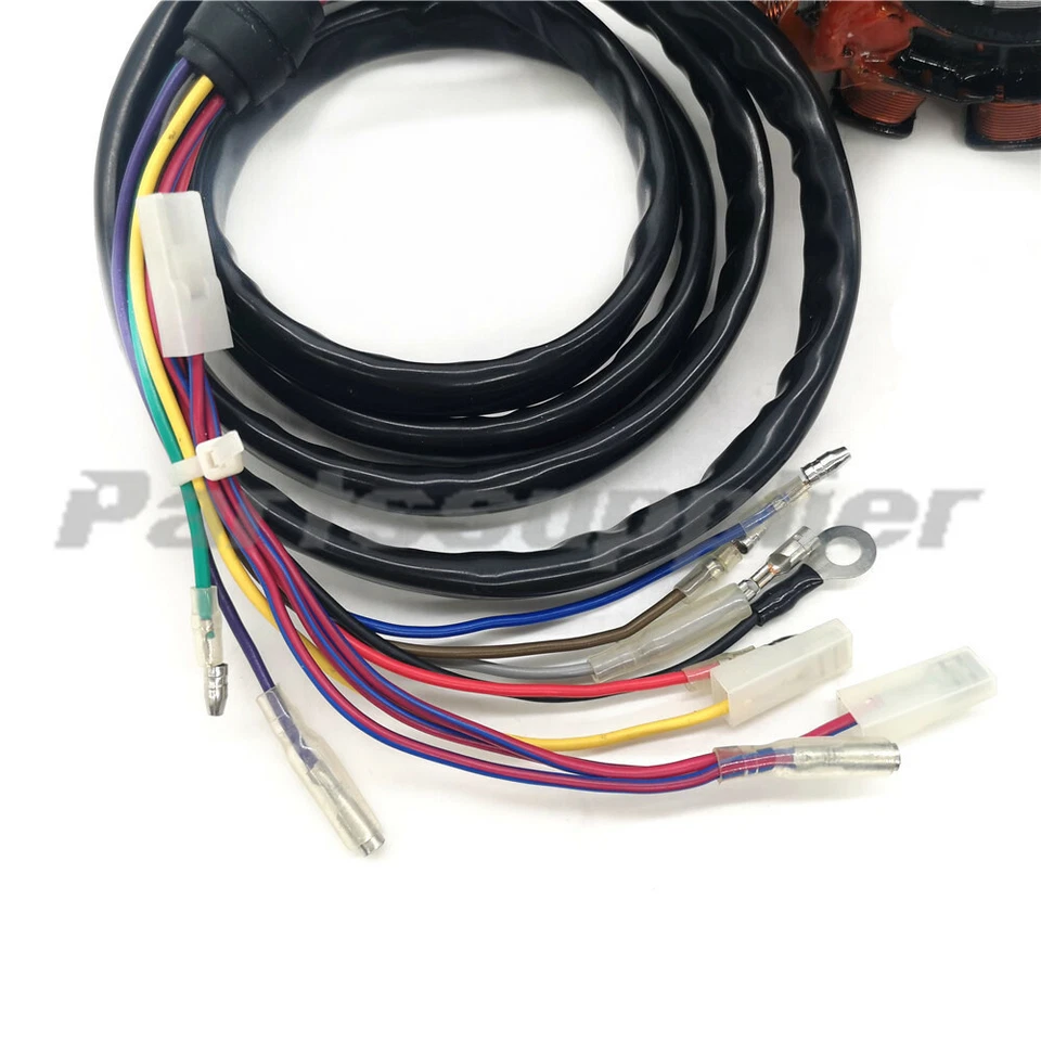 Estator moto acuática Polaris 4010403 1996 1997 1998 SL 900/SLTX/SL 1050/SLXH Foto 2 de 4