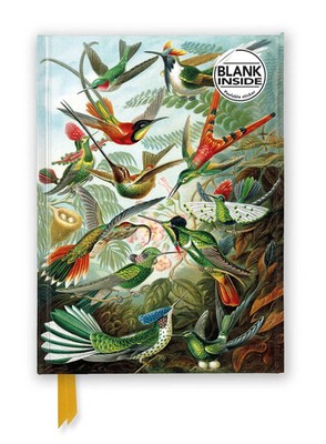 Flame Tree Publishing | Ernst Haeckel: Hummingbirds (Foiled Blank Journal)