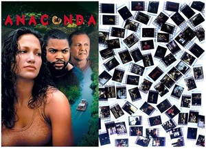 Anaconda (1997) 35mm Film Cell Strips Movie Set Pack