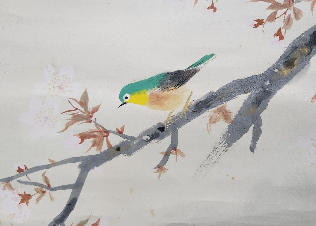 Sakura White Flower Illustration Kitakami Seiguku 2657 On