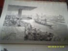 Picture 8 of 11