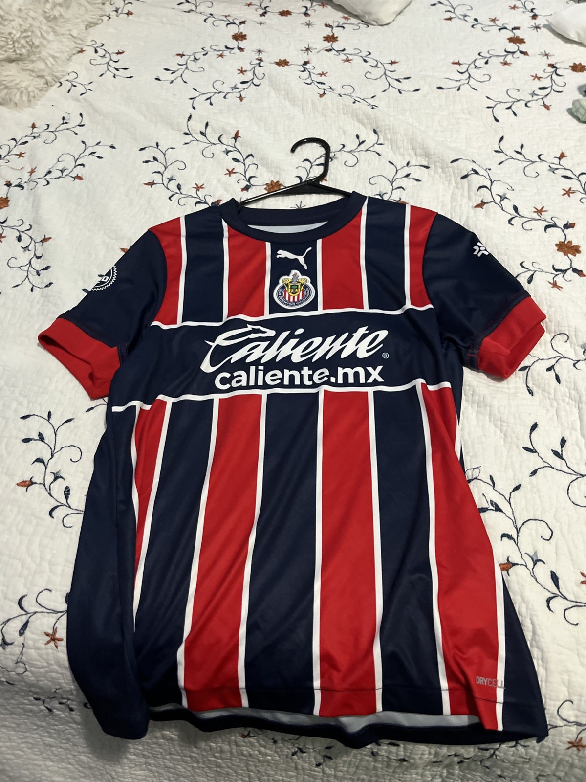 Chivas de Guadalajara Jersey 24/25 Large