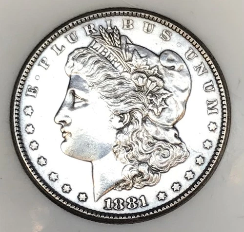 1881 S MORGAN DOLLAR! CLASSIC AMERICAN SILVER COIN! PHENOMENAL BUY! NR #G3428