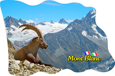 Mont Blanc Alpen Italien France Fridge Magnet Flagge Fahne Epoxid Reise Souvenir