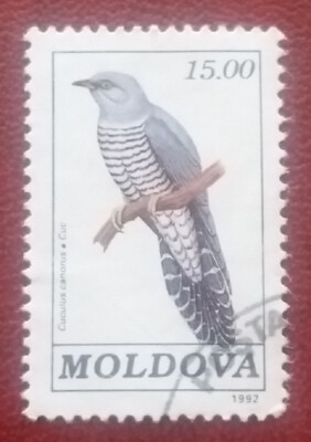MOLDOVA 1992 15.00L Used Cuckoo Mi 19 Scott 36 Yt 15 Sg 24 Bird High Value 1904