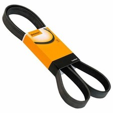 Keilrippenriemen Keilriemen Rewaco Trike RF1  Ford Zetec Motor 1,6l 85kw/115PS