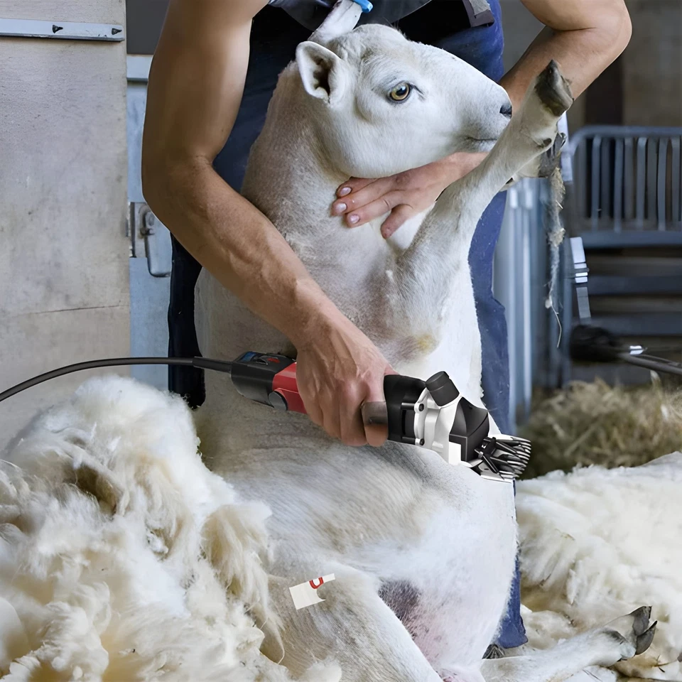 Tosapecore Tosatrice Elettrica Professionale per Pecore Capre Lama Alpaca con Mo - Imagen 4 de 4