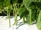 Foto 6 di 9