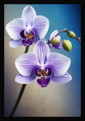 Vibrant Orchid Framed Wall Art Poster Canvas Print Picture