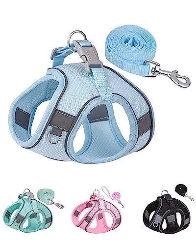 Dog Harness formall Medium Large Dogs No Pull, Puppy Harness and S Bule Dog Harness formall Medium Large Dogs No Pull, Puppy Harness and S Bule