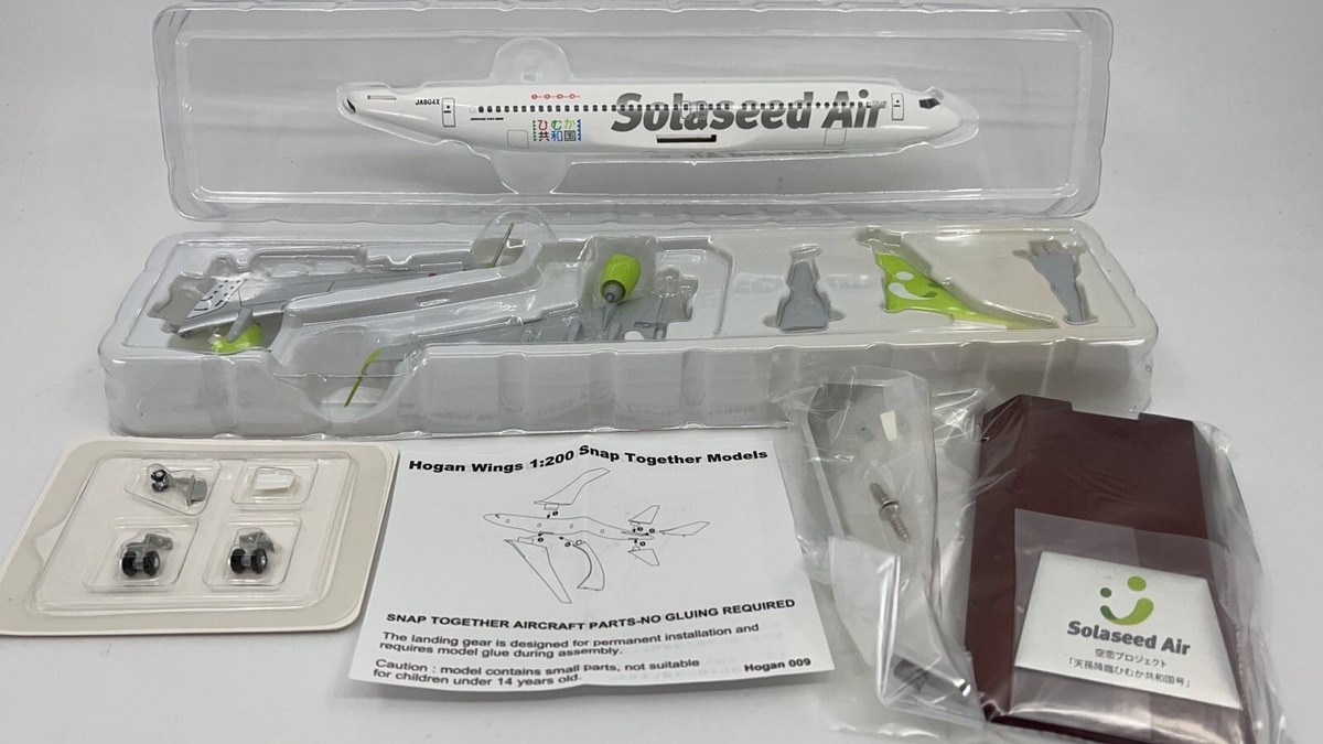 Hogan Wings, Solaseed Air, Boeing 737-800(JA804X), ひむか