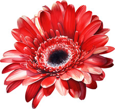 6 adesivi per auto 18 x 18 adesivi per fiori adesivi in vinile resistenti all...