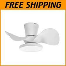 Efficient 22" Ceiling Fan LED Light Remote Control