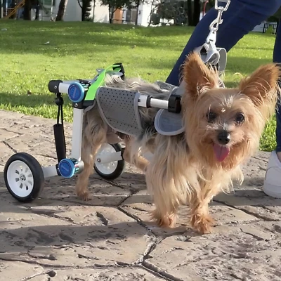 LETPETRUN Adjustable Dog Wheelchair for Dog with Disabled Hind Legs-White(XXS XSLW XS)