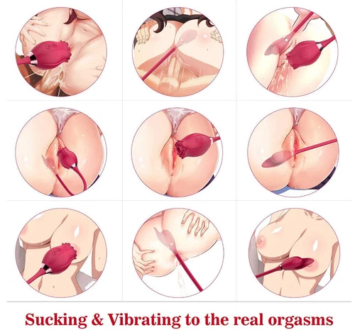 Rose Clit Sucking Vibrator G-spot Dildo Strong Sucker Sex Toys for Women Couple - Picture 6 of 13