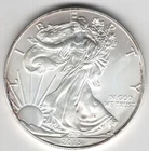 2013 WALKING LIBERTY AMERICAN EAGLE .999 FINE SILVER DOLLAR COIN 1oz. $1 USA