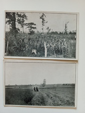 2 CARLINVILLE ILLINOIS POSTCARD OTWELL FARM ALFALFA HAY WHITE KAFFER CORN 1940s?