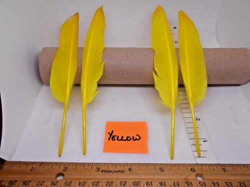 Fly Tying Feathers - Duck Quills, Turkey Quills, Turkey Tails & More - Picture 10 of 32