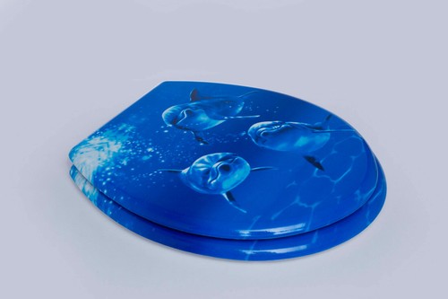 New Curvaso Fun Flush Novelty Print Toilet Seat MDF Quality Bathroom Accessories - Picture 7 of 17