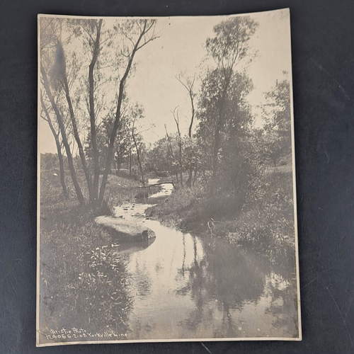 Antica foto Christie 1908 fotografia natura 9,5 x 7,5 Yorkville, WI