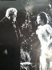 Photo 5/9