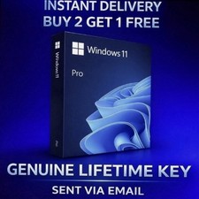 Windows 11 Professional Lifetime