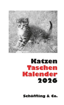 SCHOEFFLING + CO. Katzen Taschenkalender 2026 | Julia Bachstein | Kalender | 144 S. | Deutsch