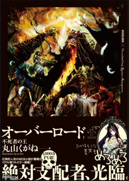 Overlord IV Japanese Volume 1 Packaging