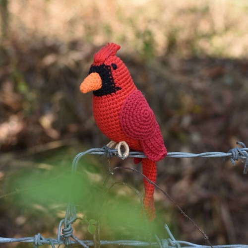 Amigurumi Budgie, Cockatiel Parrot, Cardinal Red Bird Crochet Handmade Decor - Picture 2 of 9
