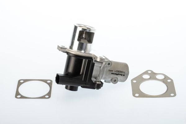 BorgWarner (Wahler) 710928D Agr-Ventil FüR Dacia Passend FüR Nissan Renault-image