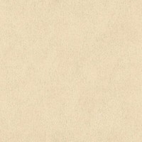 Rasch Vliestapete African Queen 422368 Tierfell Optik Beige Dezenter Glanz