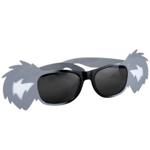 koala in sunglasses