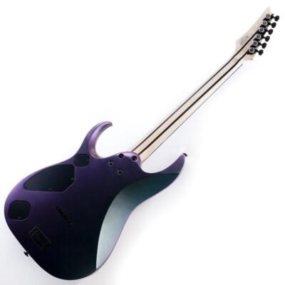 Ibanez Prestige RGD3121-PRF Polar Lights Flat with hard case