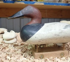 R. Madison Mitchell, Havre de Grace Maryland Canvasback Drake Decoy