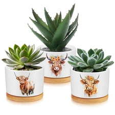 Jingmore 3 Pcs Highland Cow Decor Gift for Christmas Women Planter Ceramic Gi...