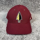 Nike Florida State Hat Cap Strapback Red Seminoles College Football Ncaa Mens